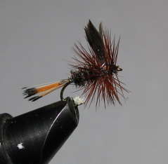 ���� ����� Dry fly  Quill DFQ 23  